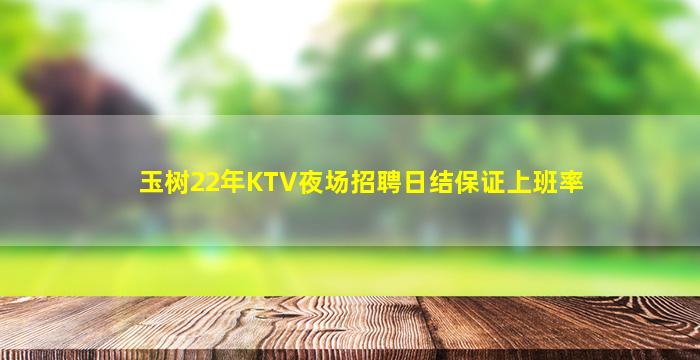 玉树22年KTV夜场招聘日结保证上班率